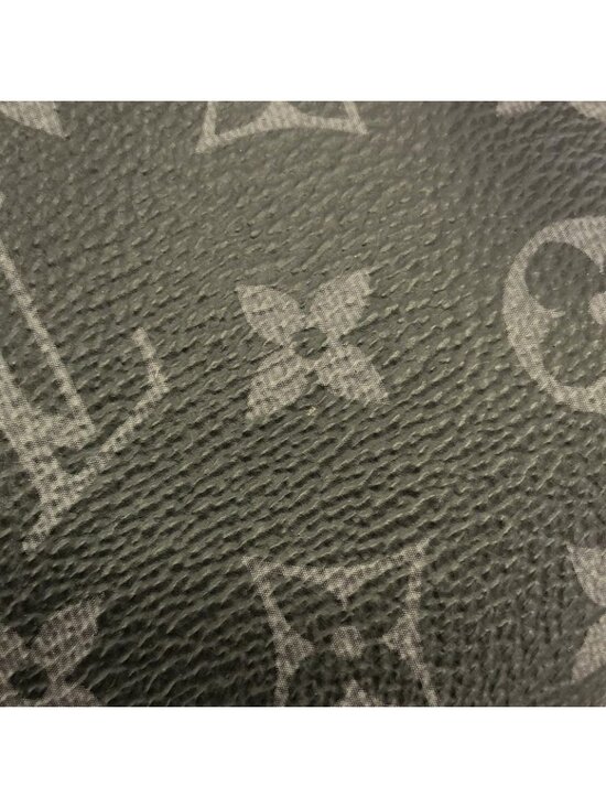 Louis Vuitton Taiga Llama Discovery Backpack